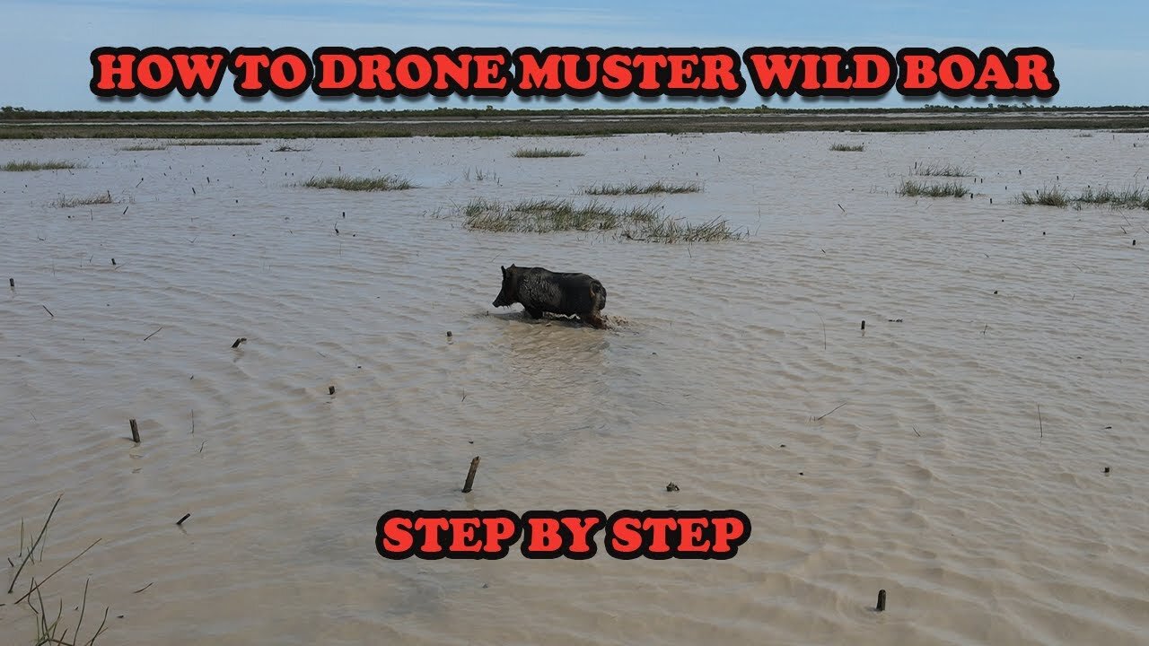 THE LAST PARADISE SERIES - how to drone muster step by step