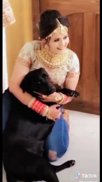 viral video : Girl And dog hot loves monuments 🥰 #rumbleshorts video