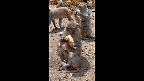 Banana mukbang 😅