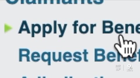 The Rebound: Unemployment Glitch