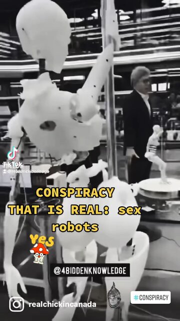 CONSPIRACY THAT IS REAL: SEX ROBOTS!