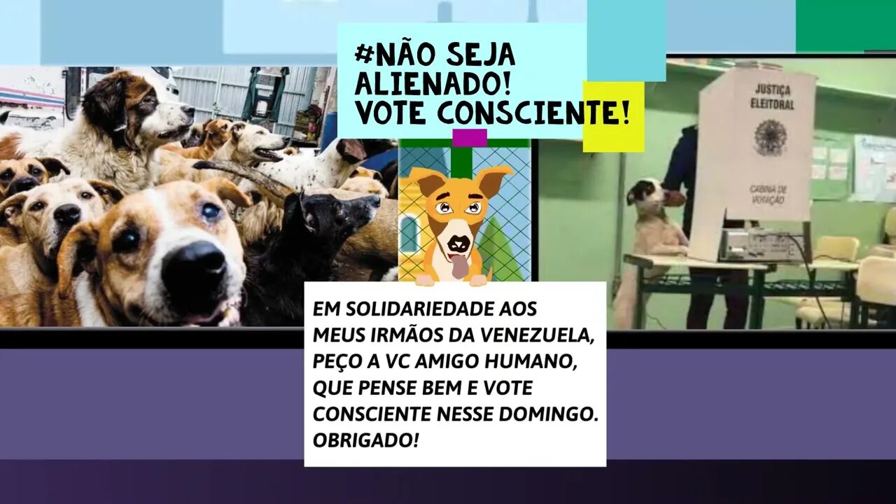 Memes kisuco eleição 2022