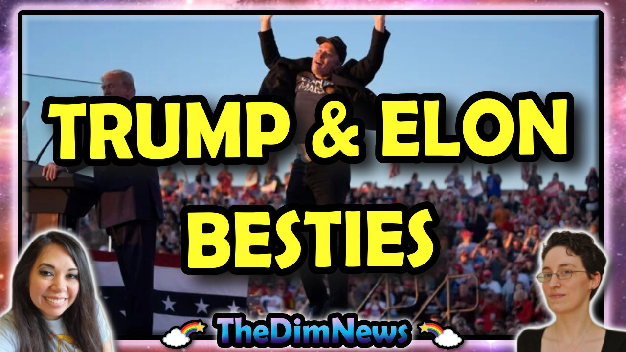 TheDimNews LIVE: Trump, Kamala, Elon, Etc., Etc.