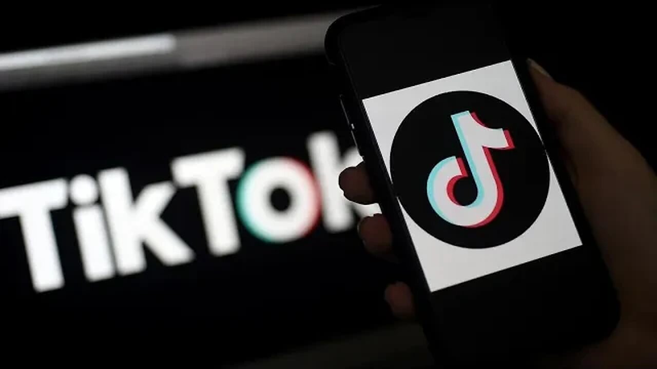 tiktok intellectuals