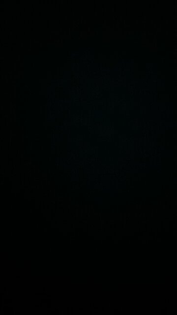 Whistling arrangement September 25 2024