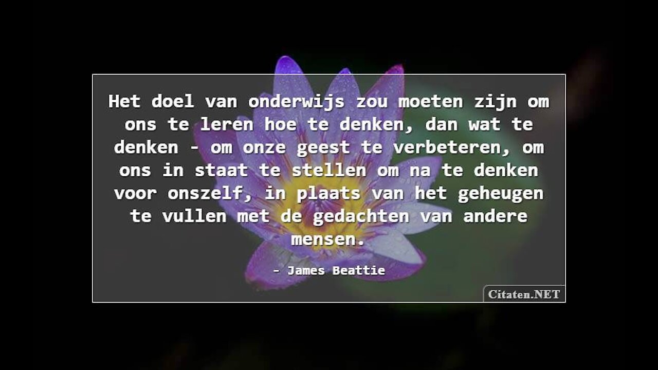 Deze dame met een donkere bril, heeft NIKS te verbergen! ( Engels)
