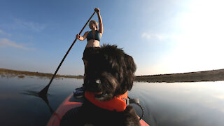 Paddle Board Video Test 2