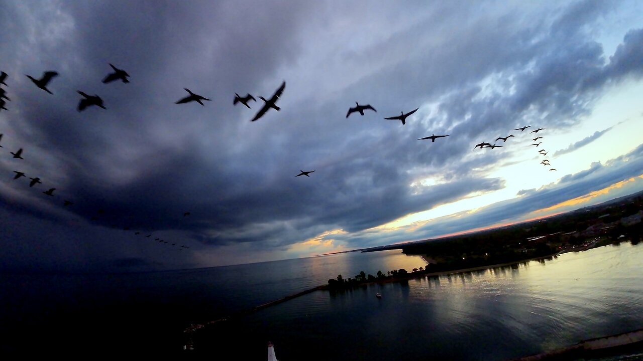 Dramatic sunset footage of ominous lightning storm approaching harbor