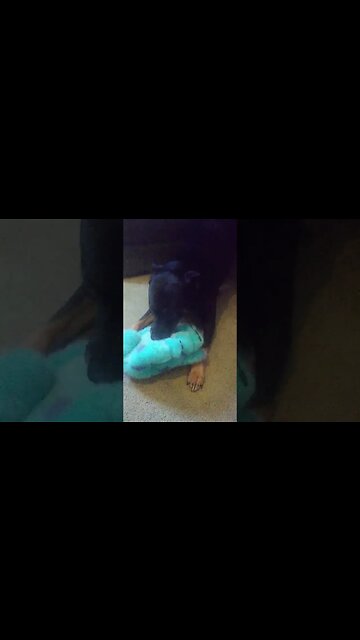 Proof that Max ain't NORMAL!