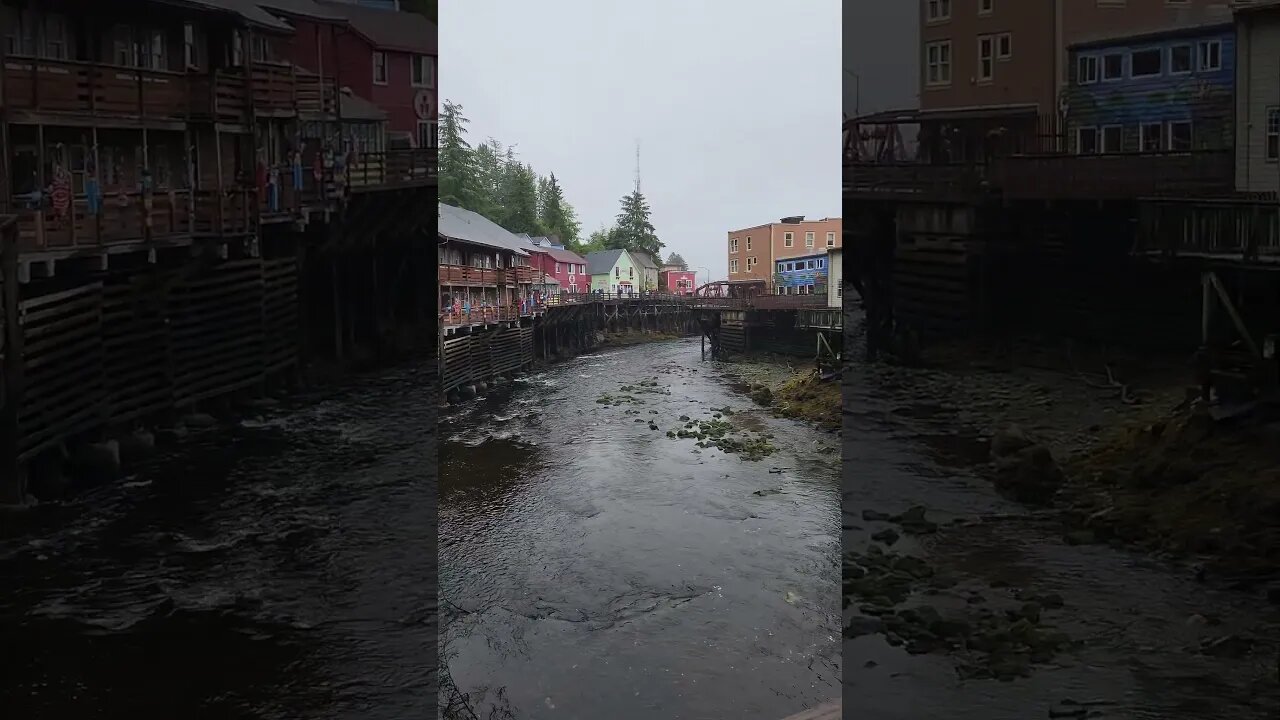 Creek Street Ketchikan Alaska! - Part 3