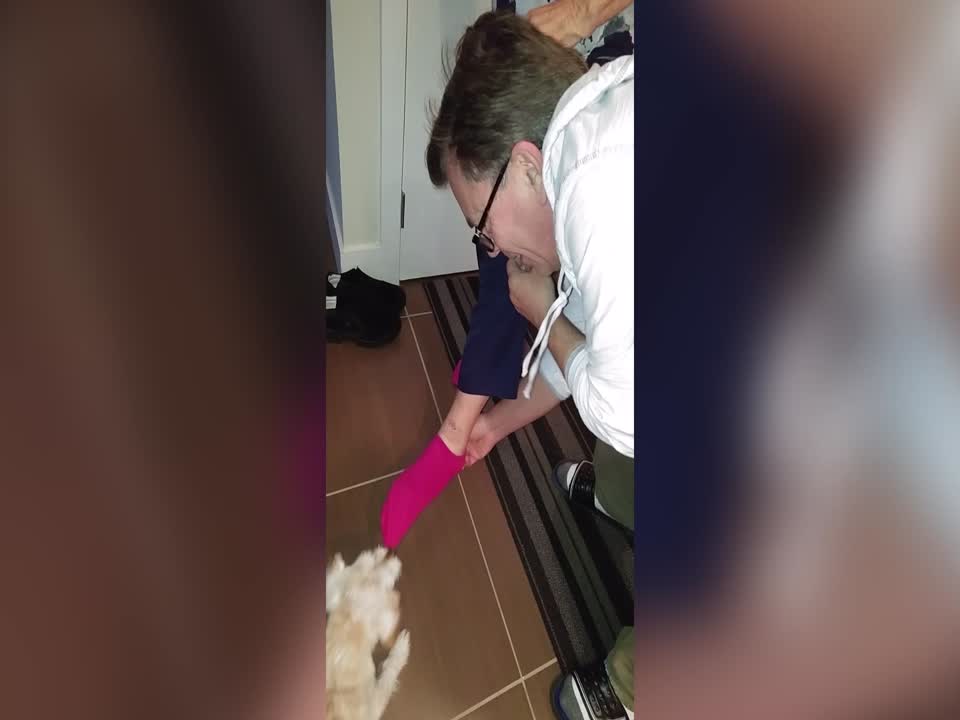 Dog shows Grandma a Crazy Trick with Socks