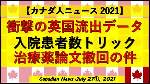 衝撃のイギリス流出データ 患者数トリック 論文撤回の件