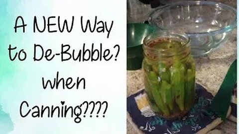 A "NEW" Way to De-Bubble When Canning?? 2023