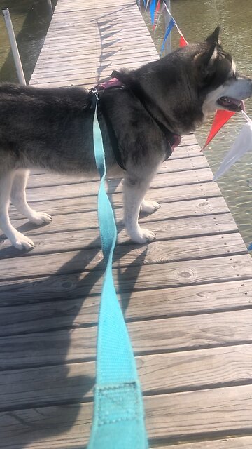 Friday Oct 18, The godly are concerned for the welfare of their animals.