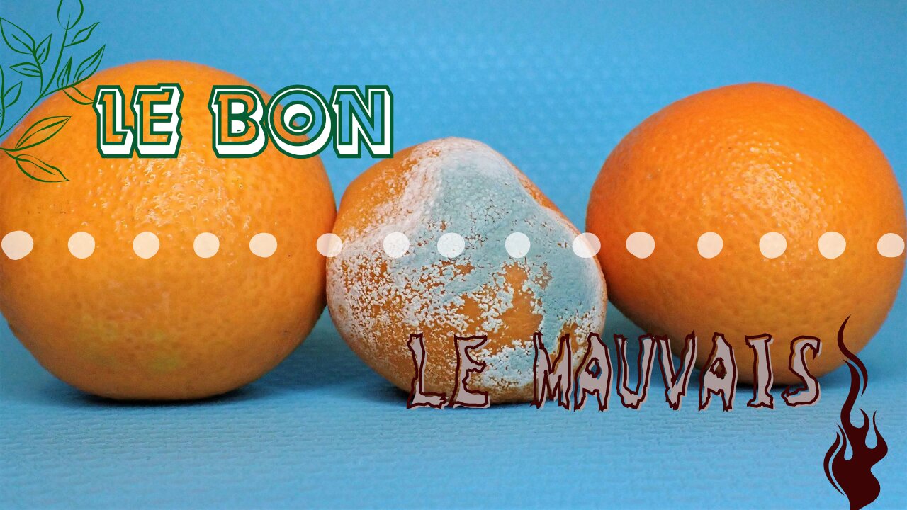 Tester le fruit de la semence semée | KJVM en français