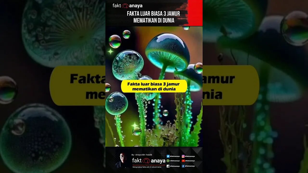 Fakta 3 jamur ini sangat mematikan di dunia #short