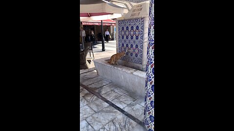 🇹🇷