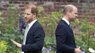 Prince William, Prince Harry Unveil Statue Of Princess Diana