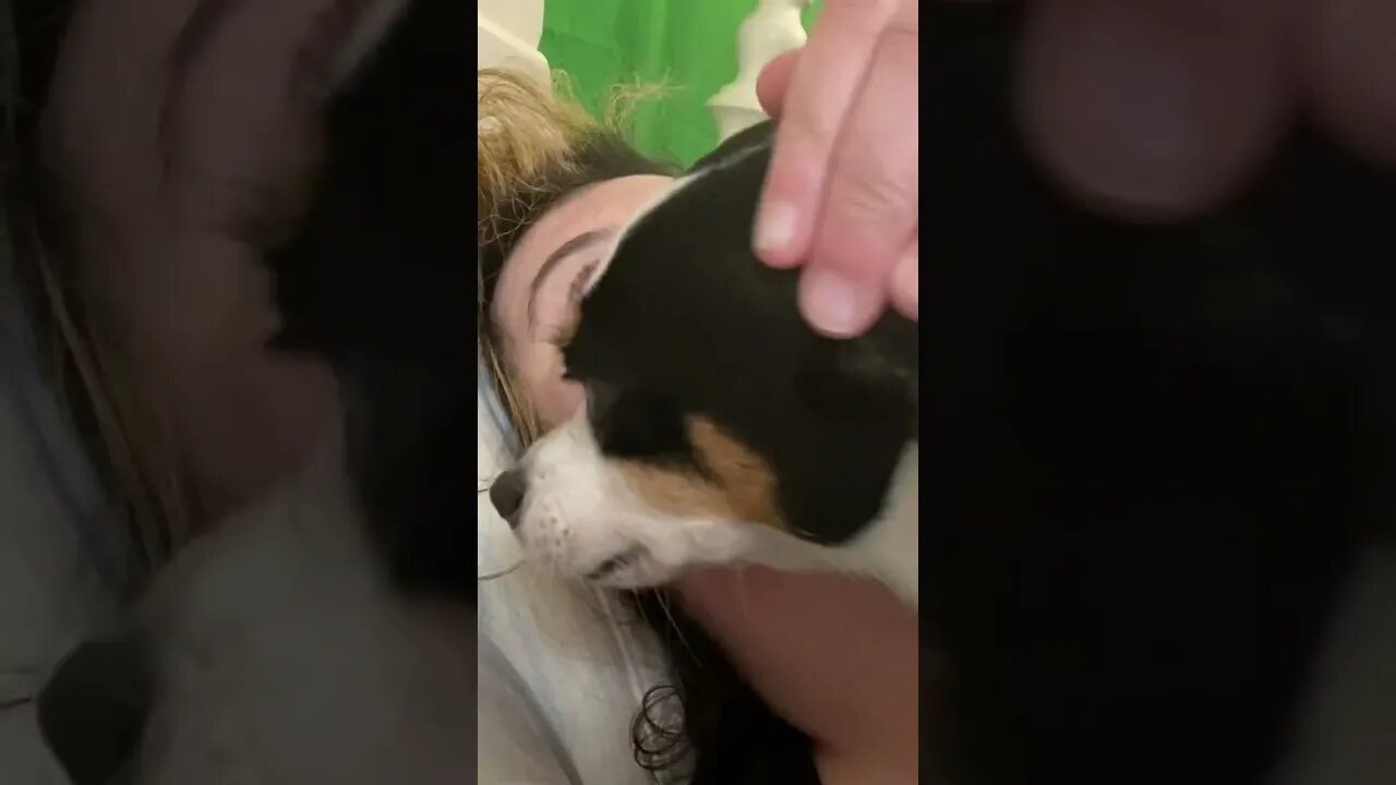 Some Siller Snuggles ASMR Style