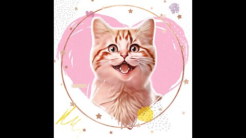 Cute Kitten