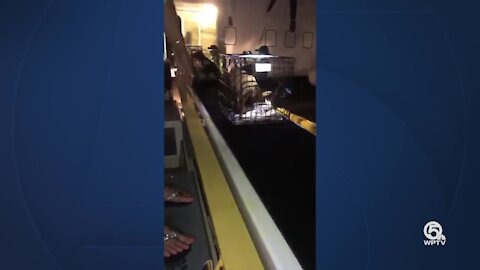 191 rescued animals from four Caribbean islands arrive at PBI