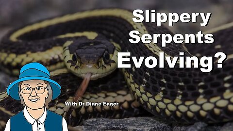 Slippery Snakes Evolving? No Evolution Here!