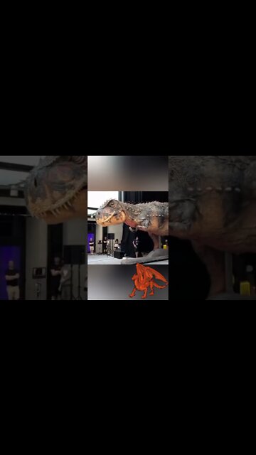 Most Amazing and trending video||relaxing your mind||trendig videos|| #shorts #trending #viral #live