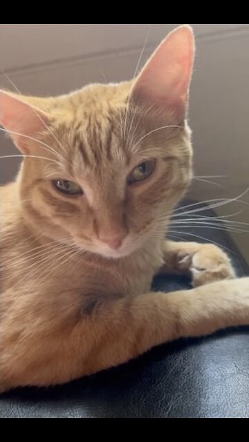 no more fu*ks to give