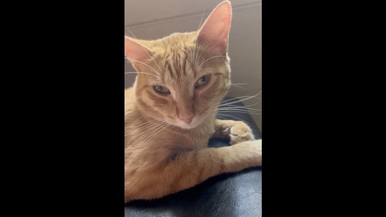 no more fu*ks to give