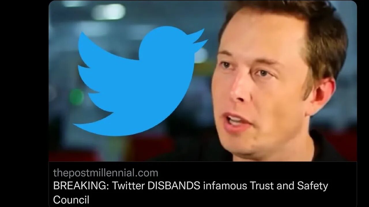 Elon Musk Just FIRED Twitters Trust and Saftey Council