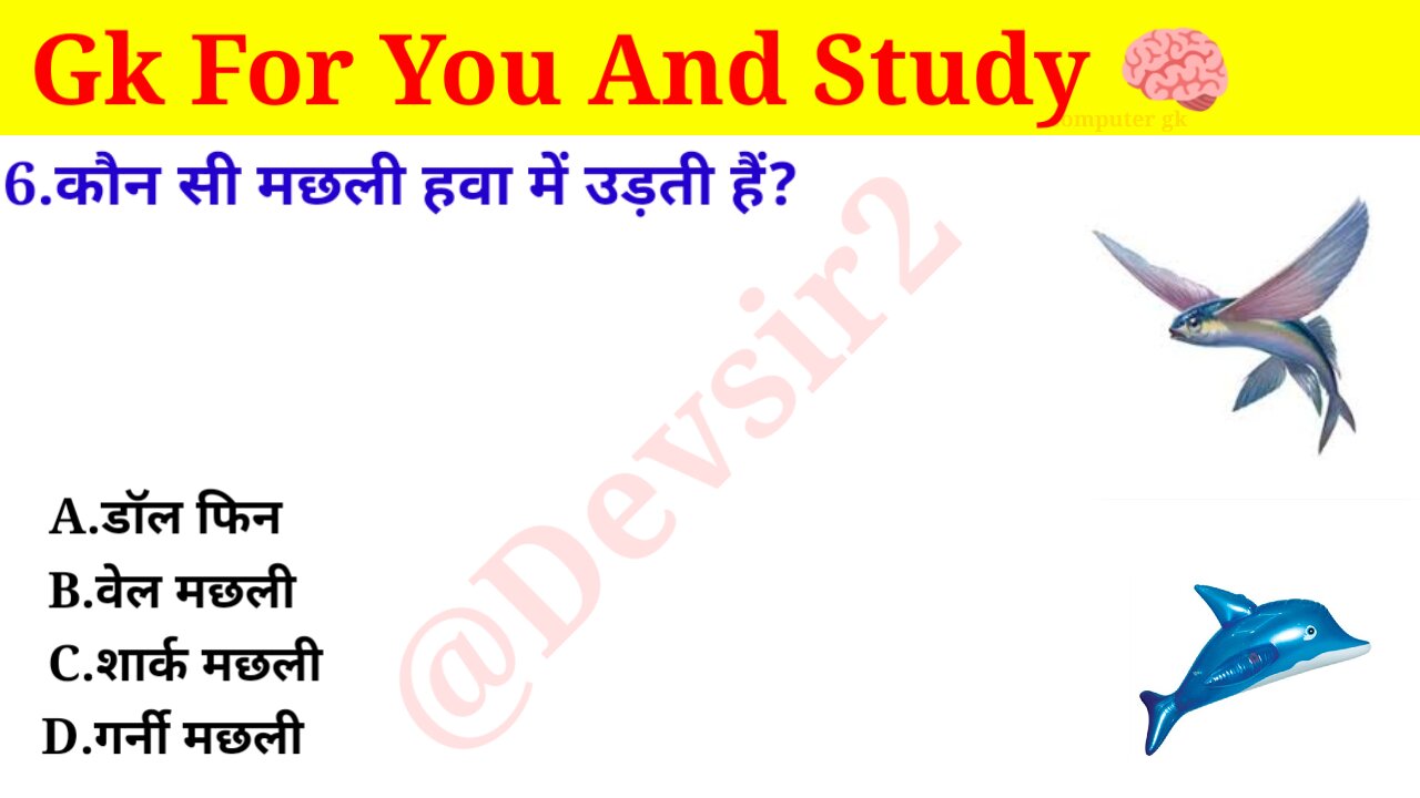 कौन सी मछली हवा में उड़ती है? ‎@CrazyGkTrick #gkinhindi #gkquiz #gk #gkfacts ‎