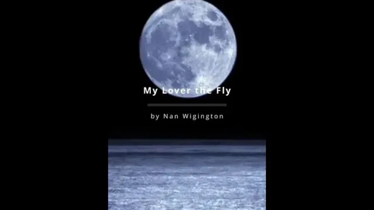 Short Story #5 My Lover the Fly by Nan Wigington #shorts