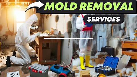 Effective Mold Remediation: How to Remove Mold Safely & Prevent It from Coming Back! 🏠🦠