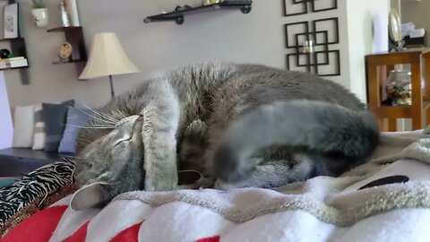 Tucking himself in