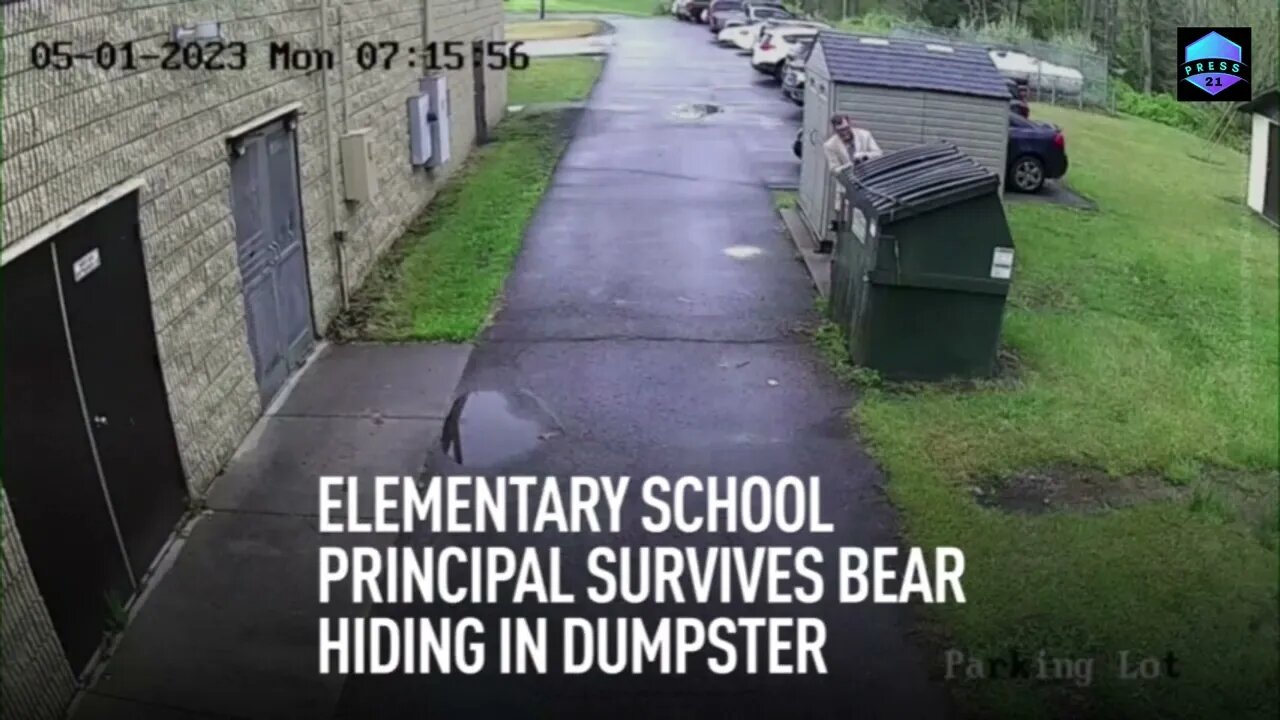 School principal survives bear hiding in dumpster