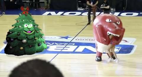 Evergreen Tree Mascot? RACIST!