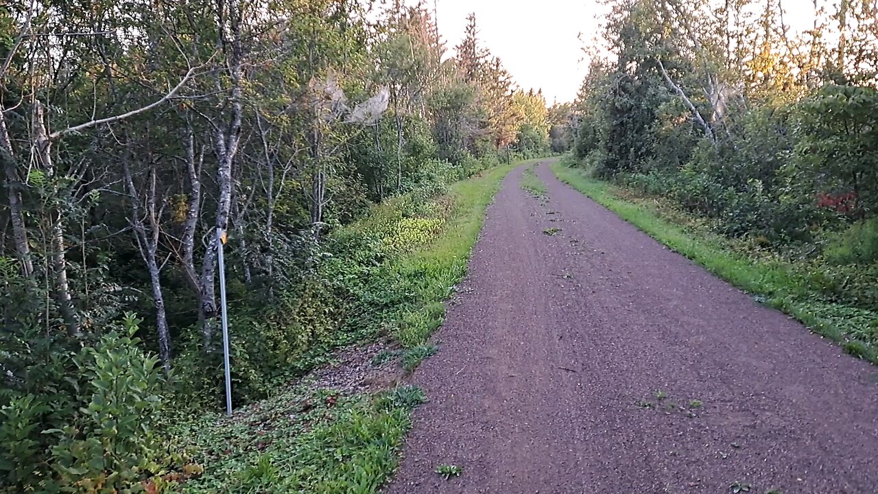 August evening crickets