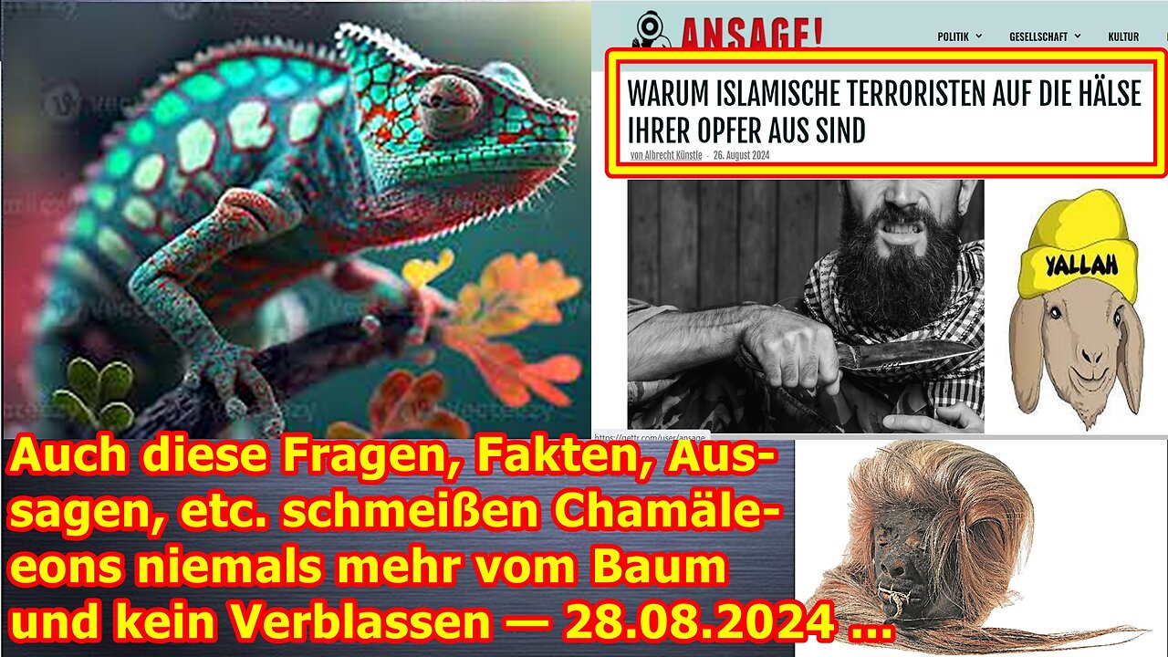 Auch diese Fragen, Fakten, Aussagen, etc. schmeißen Chamäleons niemals mehr vom Baum — 28.08.24 ...