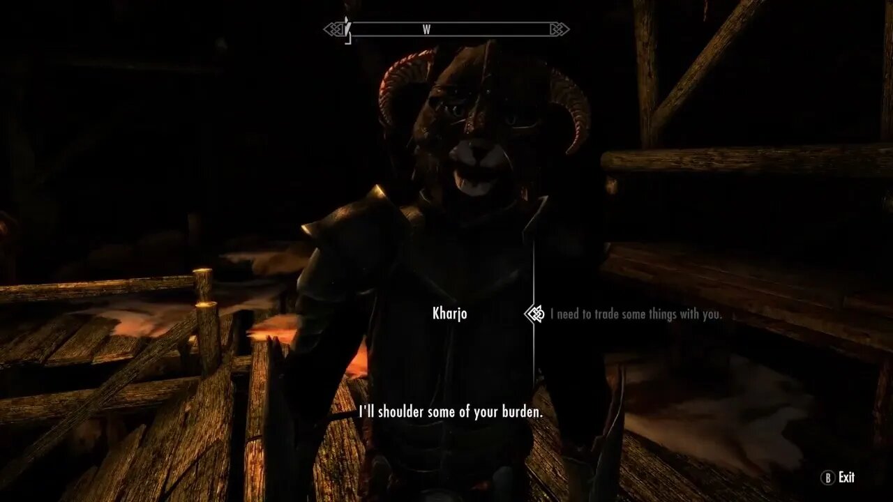 Skyrim #23