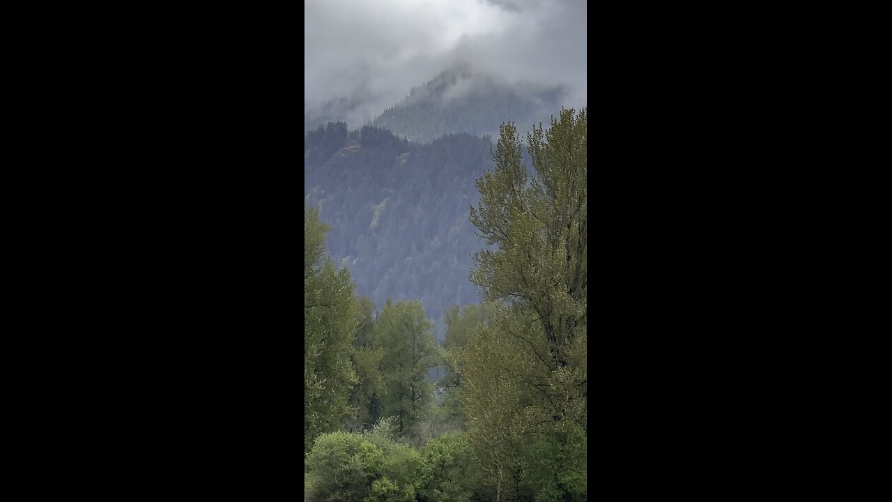 ENG-Anon: Comments on Rogan-Carlson interview