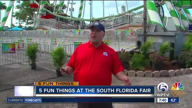 5 fun things to do this weekend