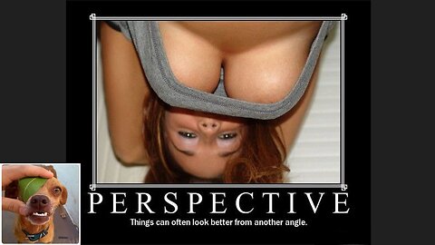 Memes That Will 99.884% Make You Laugh. (e109)