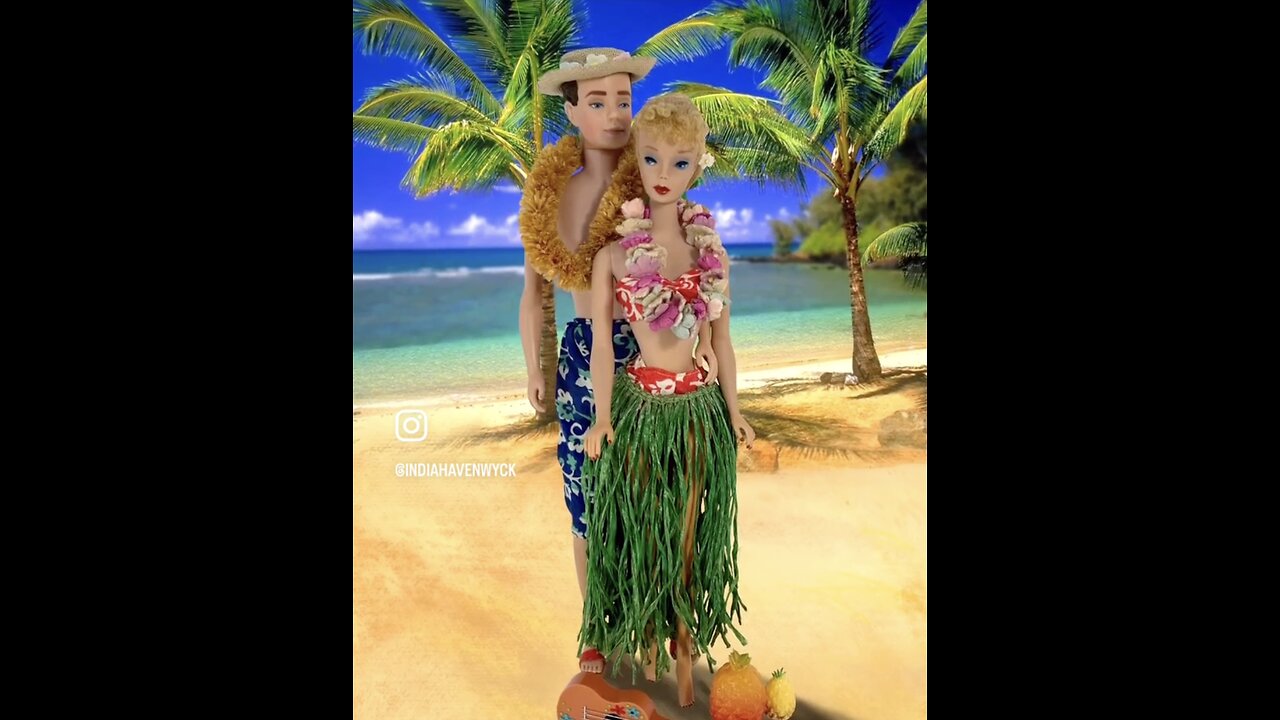 Ken and Barbie In Hawaii for Their Honeymoon