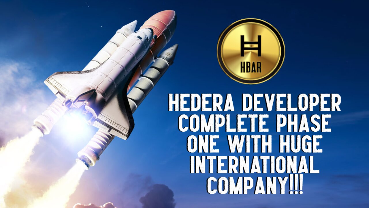 Hedera Developer Working With HUGE International Company!!!