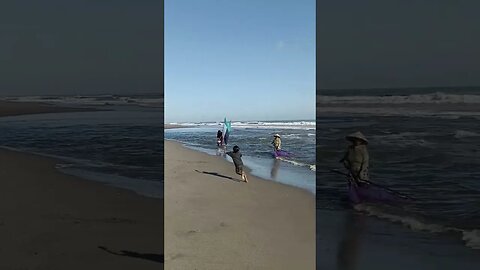 Looking for Milkfish Seeds on the Beach #fisherman #fish #shortvideo #shortsfeed