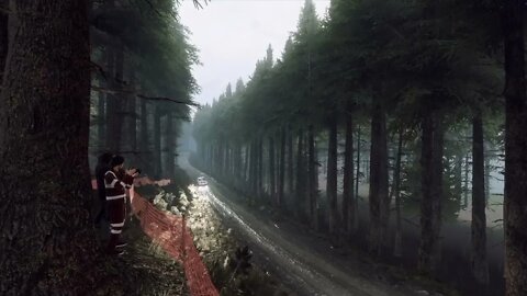 DiRT Rally 2 - Replay - Audi Sport Quattro S1 E2 at Fferm Wynt Reverse