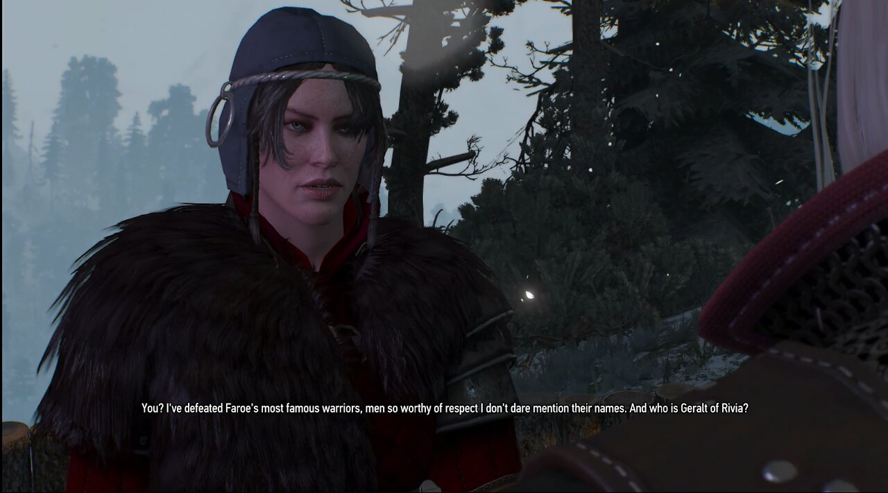 The Witcher 3 iron maiden part 1
