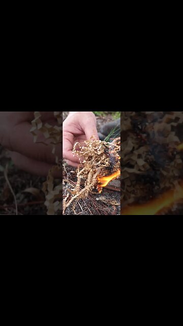 TOP 3 EDC FIRESTARTERS