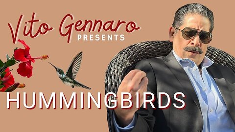 Hummingbirds | Vito Gennaro Presents