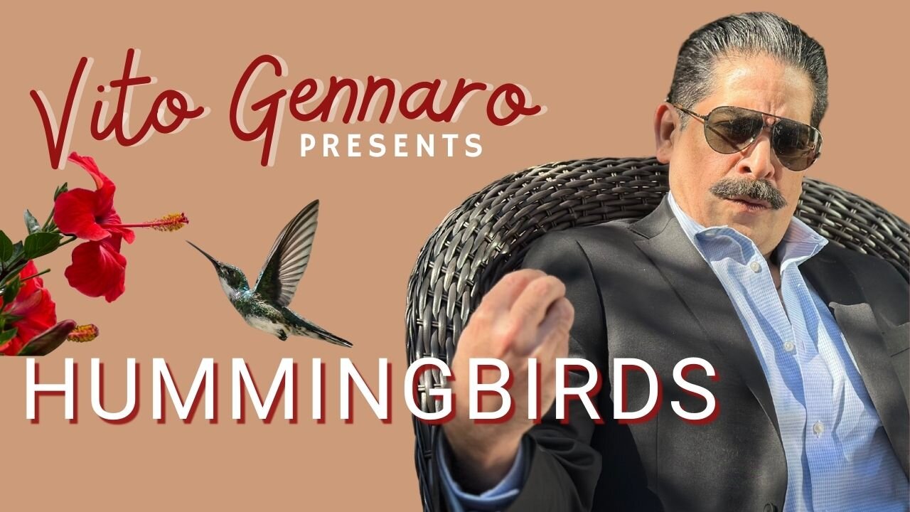 Hummingbirds | Vito Gennaro Presents